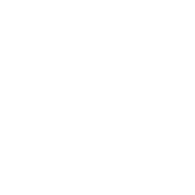 Lights Icon