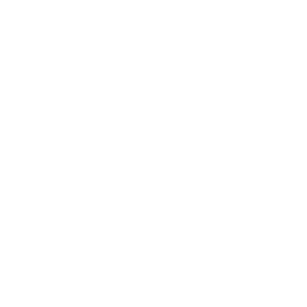 Seen Icon _ White