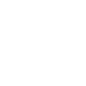 Public Transportation Icon